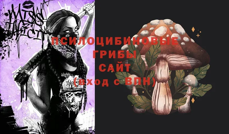 где найти   Белозерск  Галлюциногенные грибы Psilocybine cubensis 